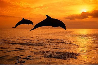 《真实动漫情境体验！2》Steam页面上线 支持简繁体中文