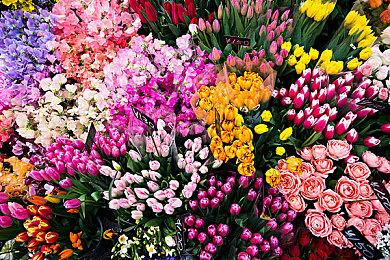 《荒野的召唤 垂钓者》DLC“挪威保护区” 现已发售